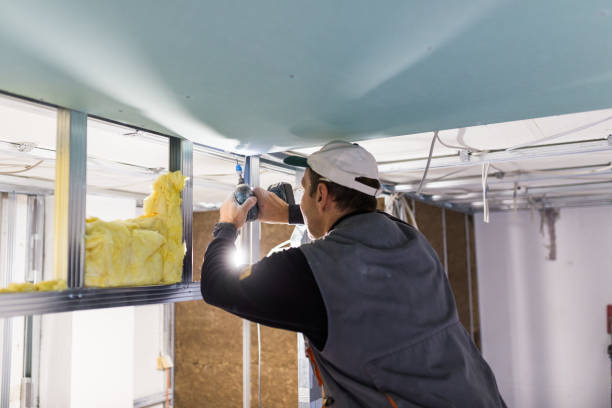 Best Geographic-Specific Insulation Services in Cayce, SC