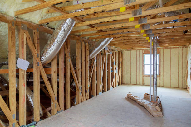 Best Residential Insulation in Cayce, SC
