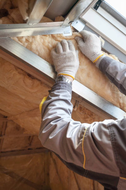 Best Eco-Friendly Insulation in Cayce, SC
