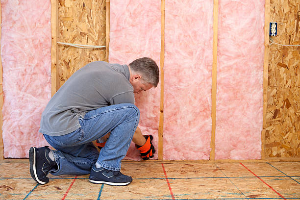 Best Specialized Insulation Services in Cayce, SC